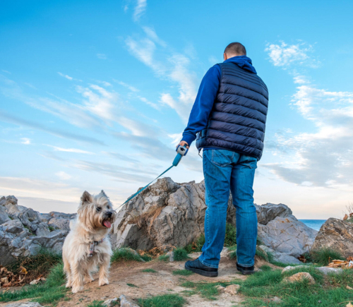 Man with dog on mountaintop