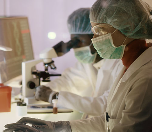 Two researchers working in lab