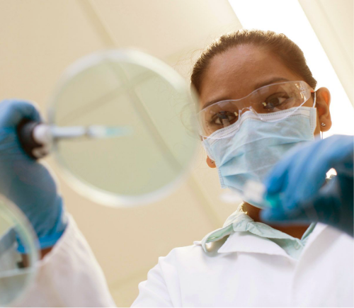 Researcher working with petri dish