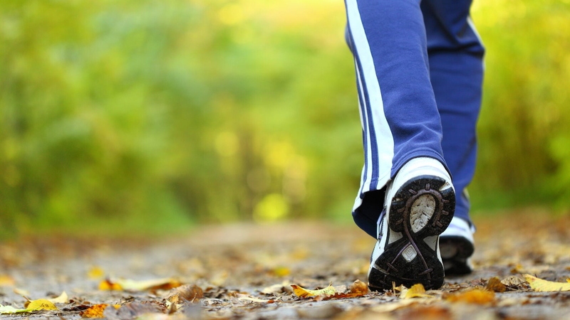 Person walking in forest