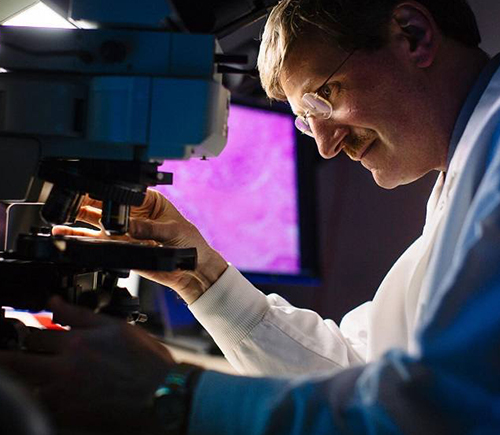 Researcher using a microscope