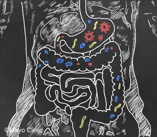 Chalk drawing of digestive tract