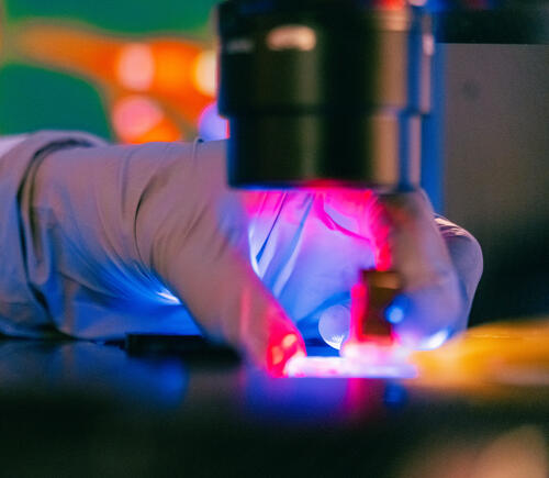 Researcher working under a lighted microscope