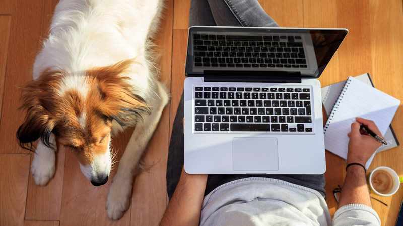 Man with his dog sitting on the floor working on a laptop