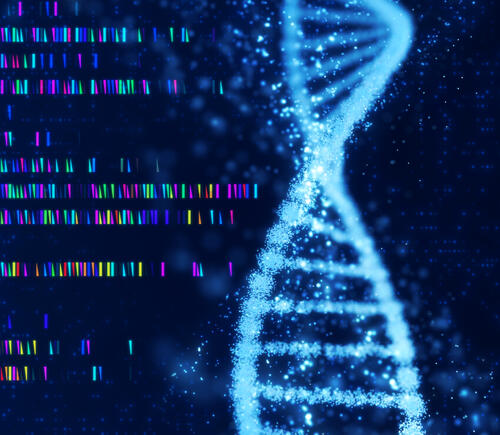 DNA strand and markers
