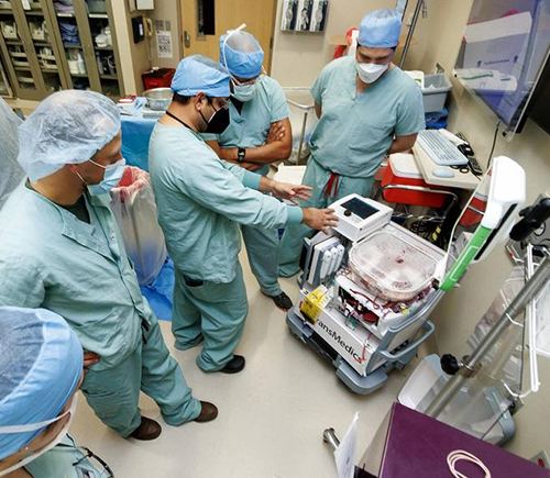 Group of doctors with liver warm perfusion machine