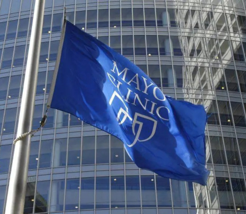 Mayo Clinic flag