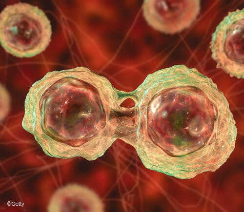 Stem cell graphic