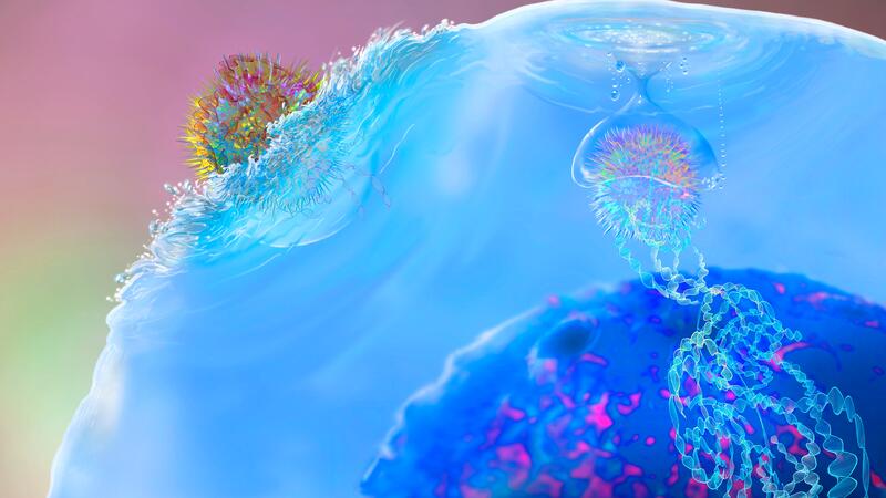 Illustration of T cell