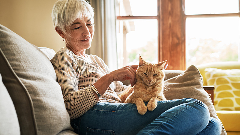 Woman sitting on her sofa with her cat