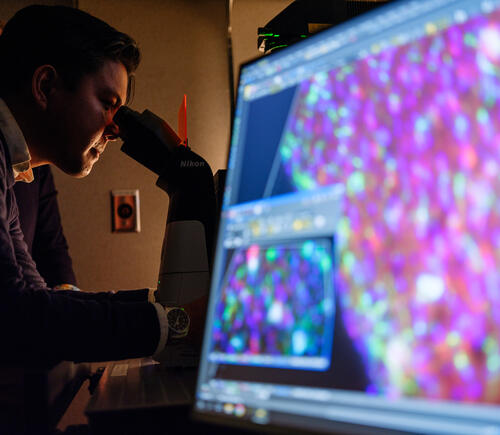 Researcher looking through microscope