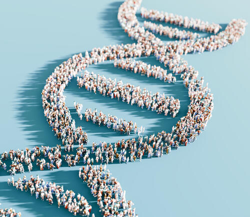 Graphic of DNA stand made up of different groups of people