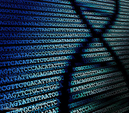 The letters G T A C repeating, representing the four nucleobases of DNA.