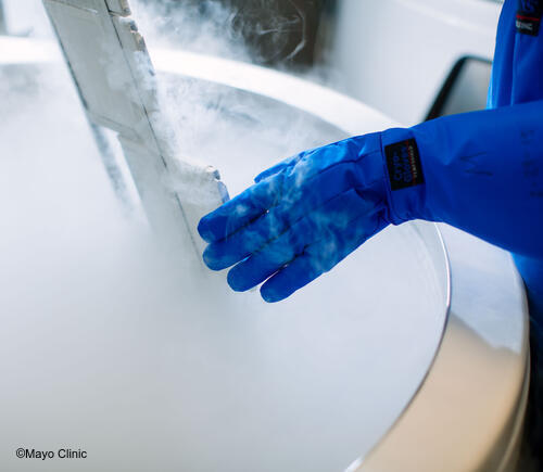 Researcher working with samples