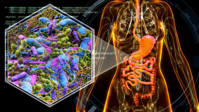 Graphic of gut biome