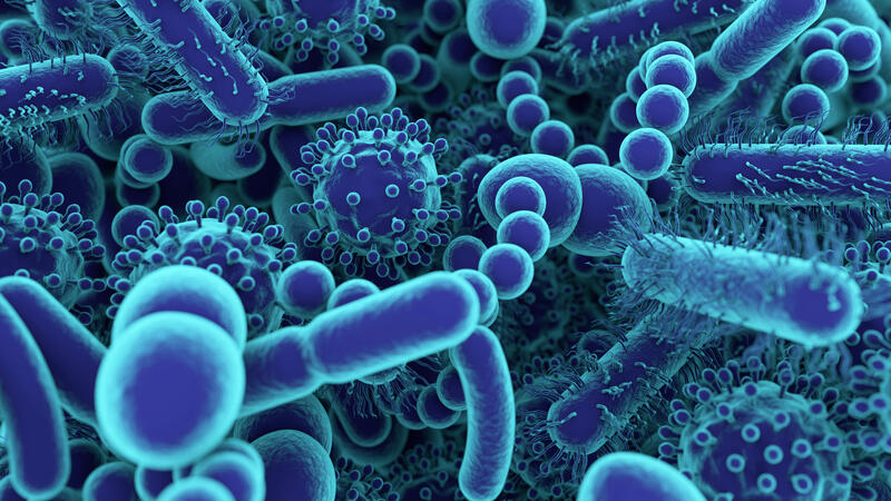 Close up of bacteria