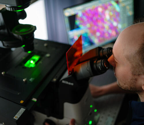 Researcher looking into a microscope