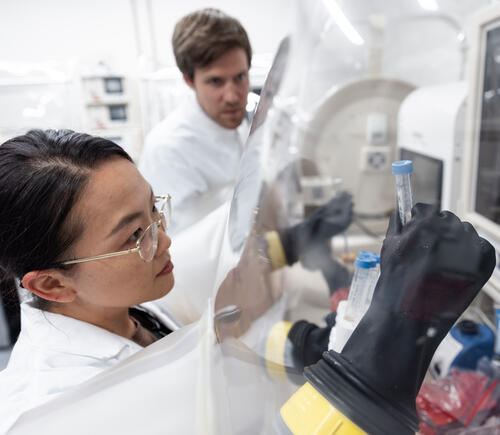 Researchers working in lab