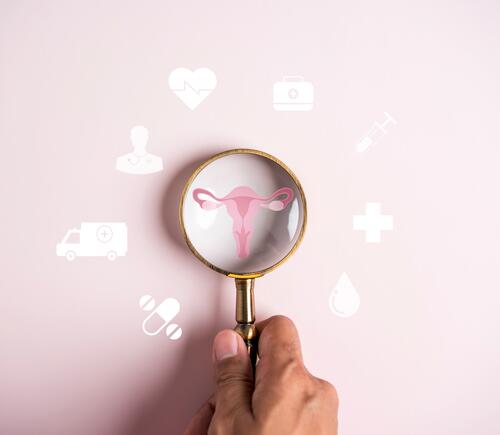 Magnifying glass with female reproductive system graphic