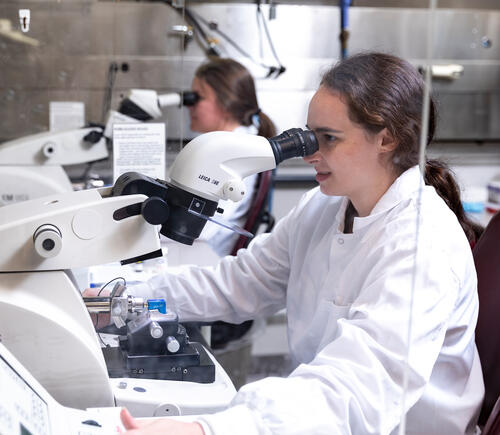 Researchers looking through microscopes