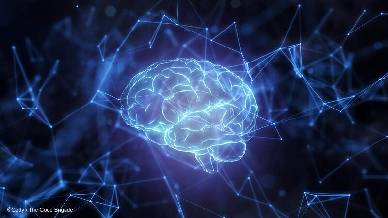 Digital rendering of a brain