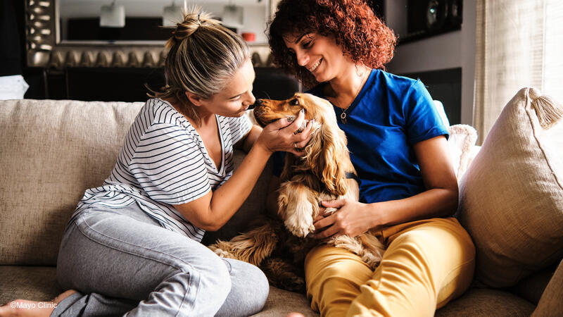 Couple playing with dog on couch