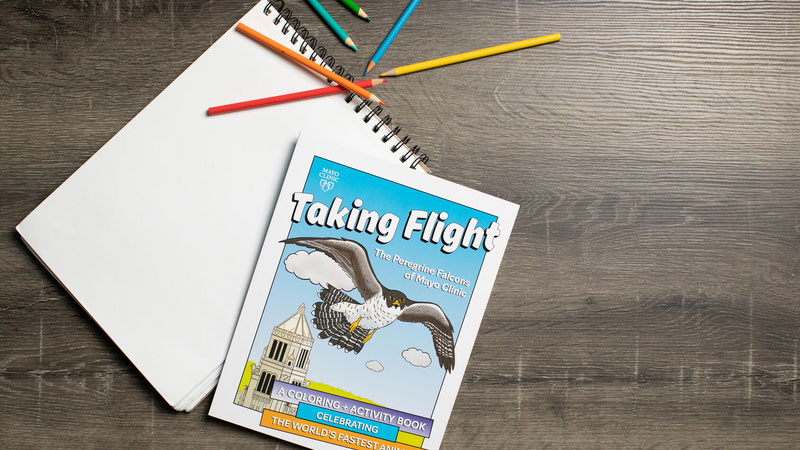 Taking Flight coloring book with colored pencils