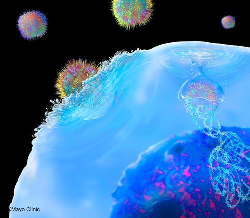 Graphic of CAR-T cell therapy