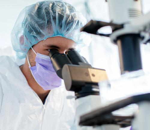 Researcher looking into a microscope