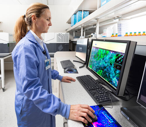 Researcher looking at biology map on computer