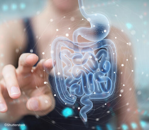 Digital image of digestive tract