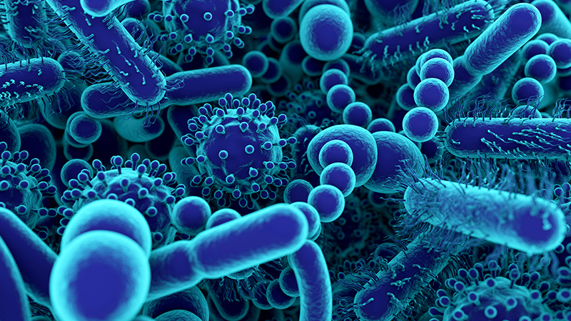 Microbiome