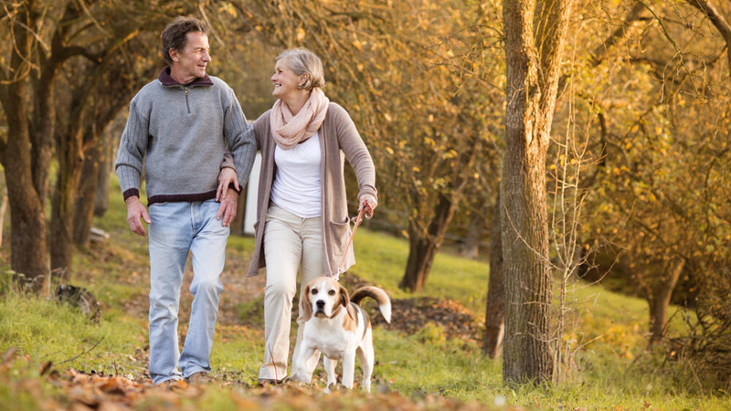 A couple walking with a dog in the woods