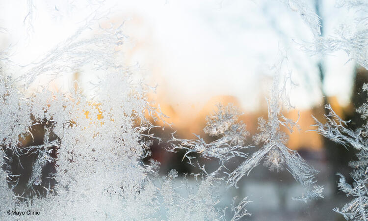 Snowflakes on ice.