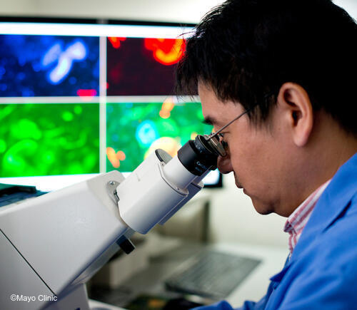 Researcher using microscope