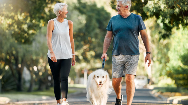 Couple walking their dog