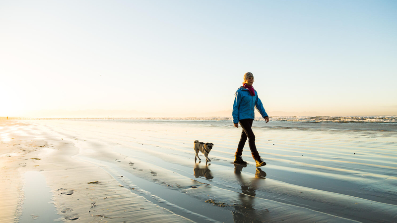 Woman walking on the beach with her dog