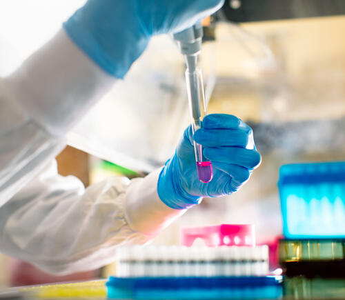 Researcher filling a pink test tube